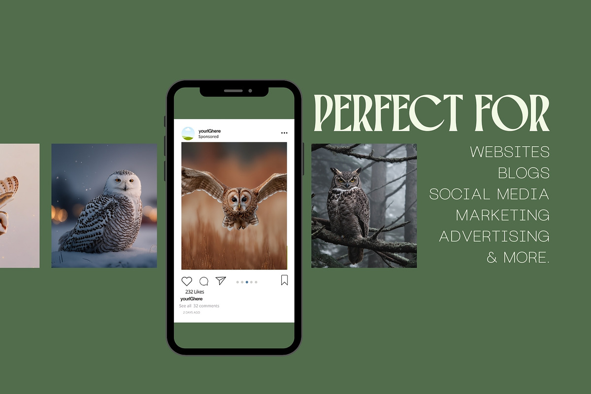45 Majestic Owl Stock Photos, an Animal Photo by Incomelion (Photo 2 of 13)