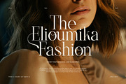 Brilion Elegant Serif Font, a Serif Font by Graphicxell (Thumbnail 4 of 8)