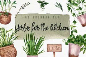 Watercolor herbs for the kitchen