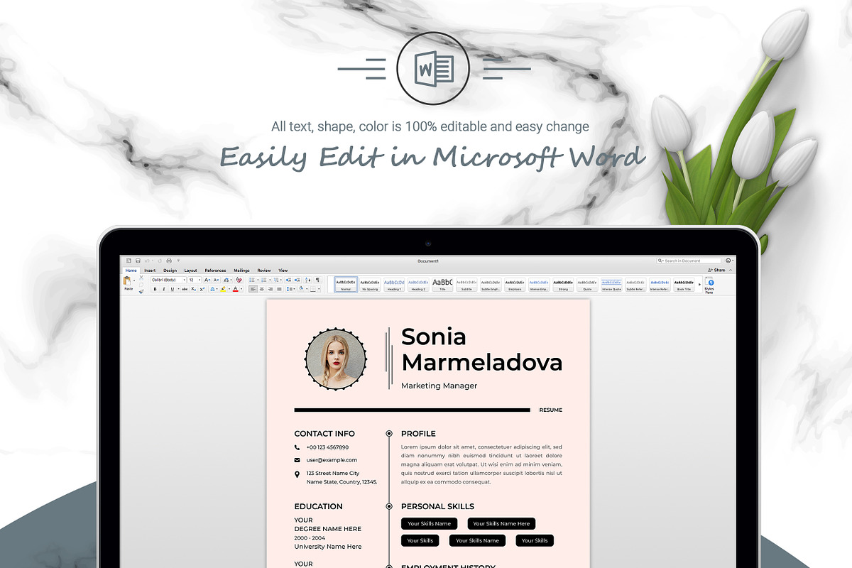 One-Page Resume for Professionals preview 4