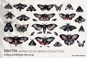Watercolor Moths: PNG Clipart Set