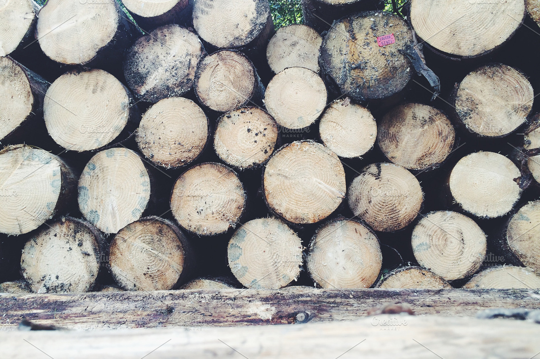 Wood containing wood, forest, and nature