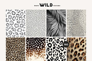 WILD — animal textures & fur, a Texture Graphic by Lana Elanor (Thumbnail 7 of 11)