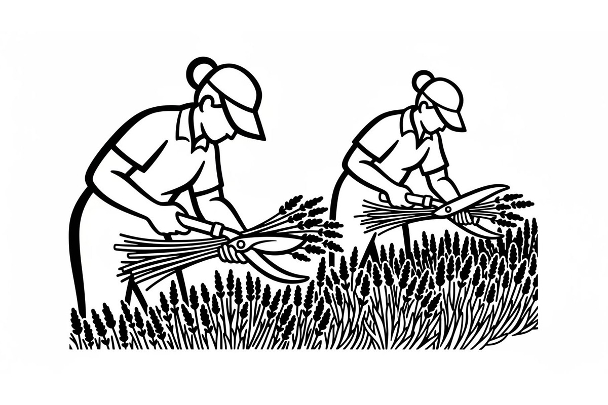 50 Professional Garden Shears Vector, an Illustration by hafijul (Photo 13 of 51)