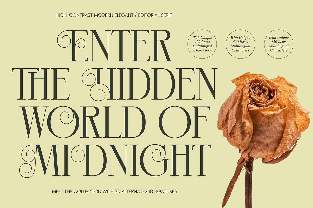 Hidden Midnight Modern Elegant Serif, a Serif Font by timelesstype.co (Photo 1 of 10)