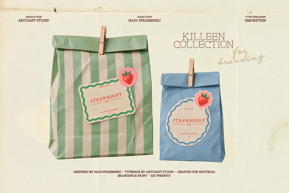 Killeen Font Family, a Serif Font by nadispasibenko (Photo 4 of 12)