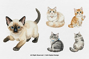 15 Bundle Watercolor Lazy Cats Kiten, an Animal Illustration by Morspective (Thumbnail 5 of 8)
