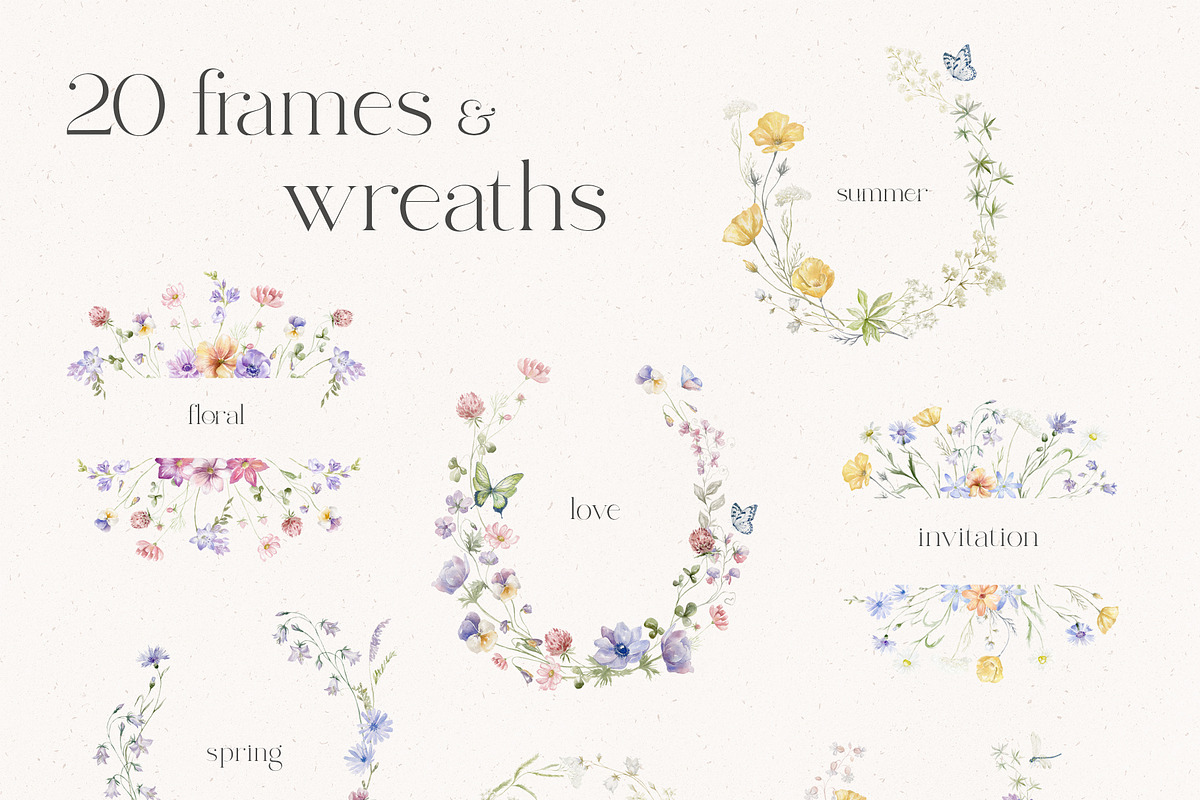 World of Butterflies & Wild Flowers., a Seasonal Illustration by Designwork (Photo 5 of 20)
