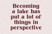 Samari - Modern Serif Font, a Serif Font by Design 265 (Thumbnail 6 of 7)