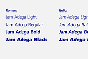 Jam Adega, a Sans Serif Font by JAM Type (Thumbnail 9 of 14)