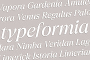 Trefally - Elegant Editorial Serif, a Serif Font by Attract Studio (Thumbnail 18 of 22)