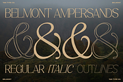 TAN-BELMONT-HANDWRITTEN SERIF, a Serif Font by TanType (Thumbnail 7 of 10)