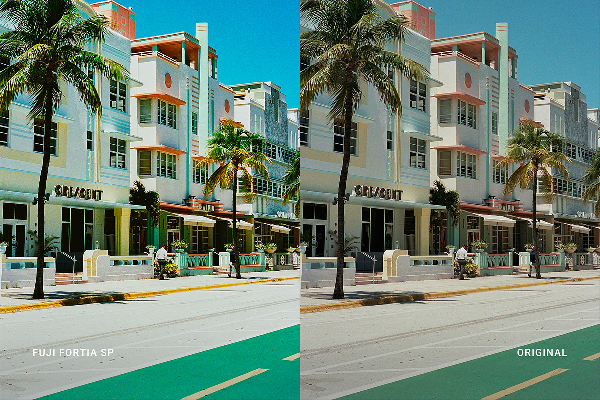 Fuji Fortia SP, a Preset Add-On by colorituals (Photo 7 of 8)