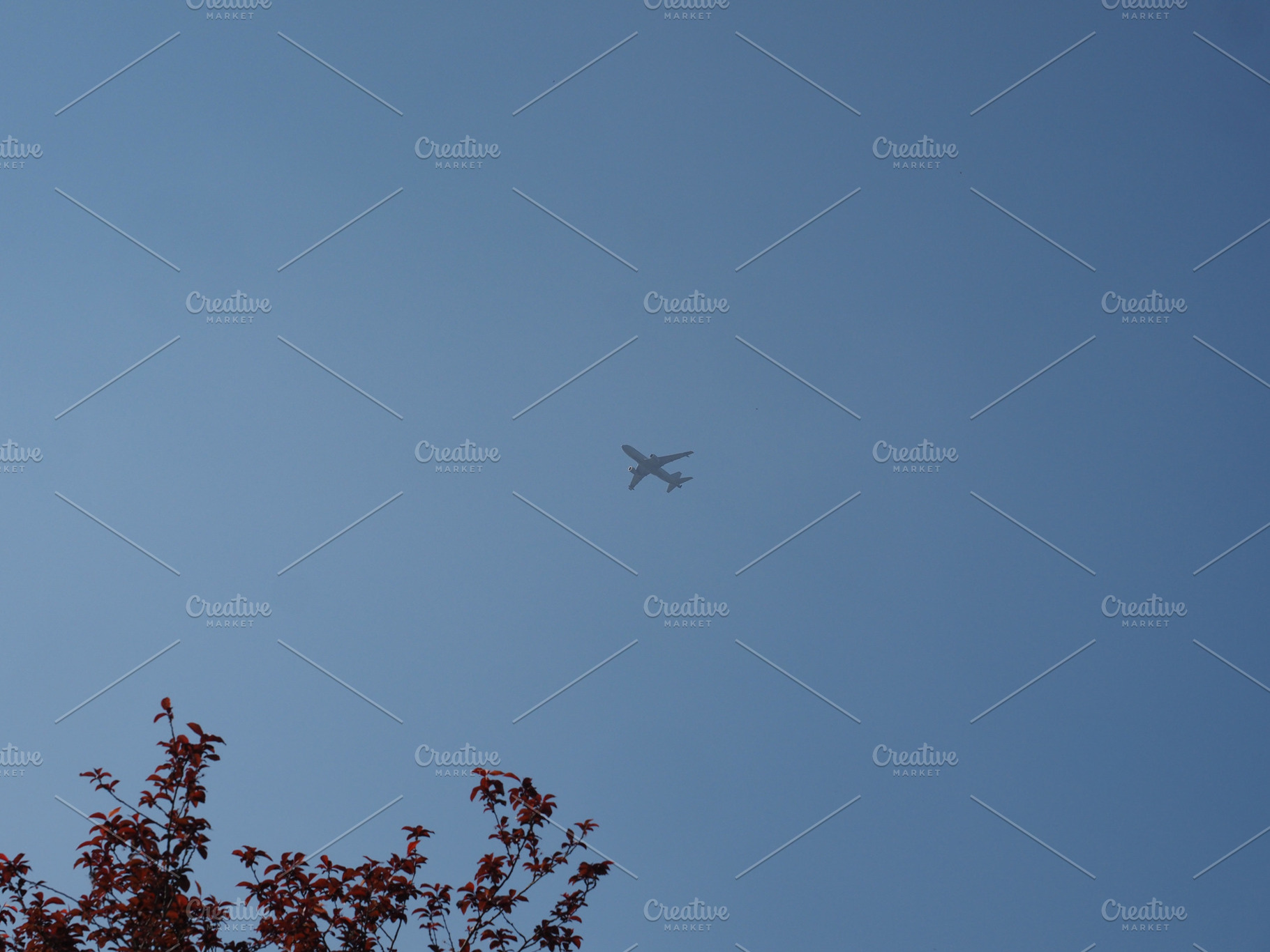 airborne plane over blue sky, a Photo by WorldOfPhotos