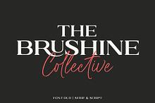 Brushine Collective Font
