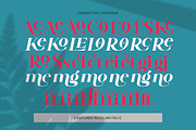 Bedicta Hosta, a Serif Font by Gatype (Thumbnail 4 of 10)