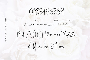 Audrey - A Script Font