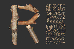 Dry Twigs Font