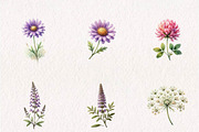 Wildflower Meadow Clipart Set, a Seasonal Illustration by CreationArt (Thumbnail 2 of 7)