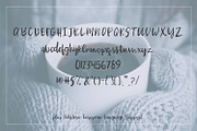 Parkchester Script, a Script Font by Beck McCormick (Thumbnail 5 of 5)