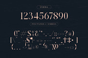 Rasmien | Elegant Serif Font, a Serif Font by Denustudios (Thumbnail 11 of 13)