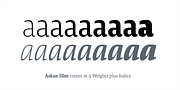 Askan Slim, a Serif Font by Hoftype (Thumbnail 5 of 14)