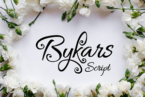 Bykars