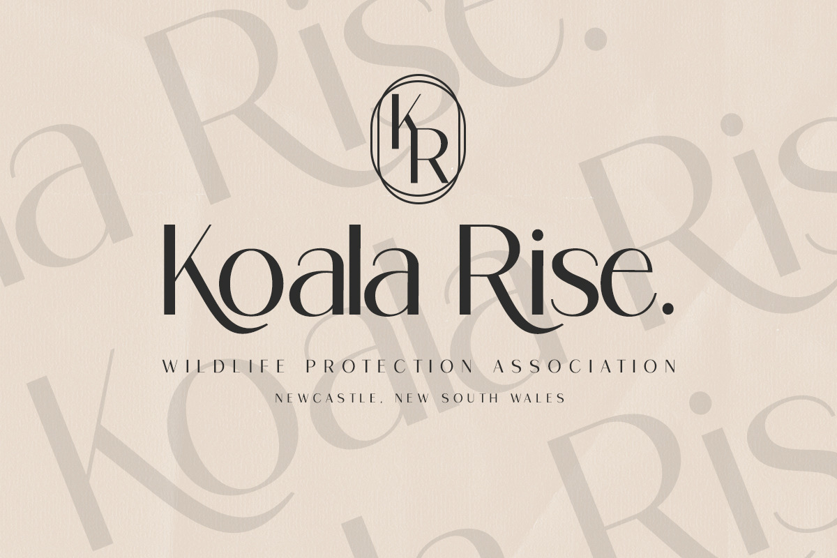 Ragion | Sans Serif Font, a Sans Serif Font by Romiecreative (Photo 5 of 12)