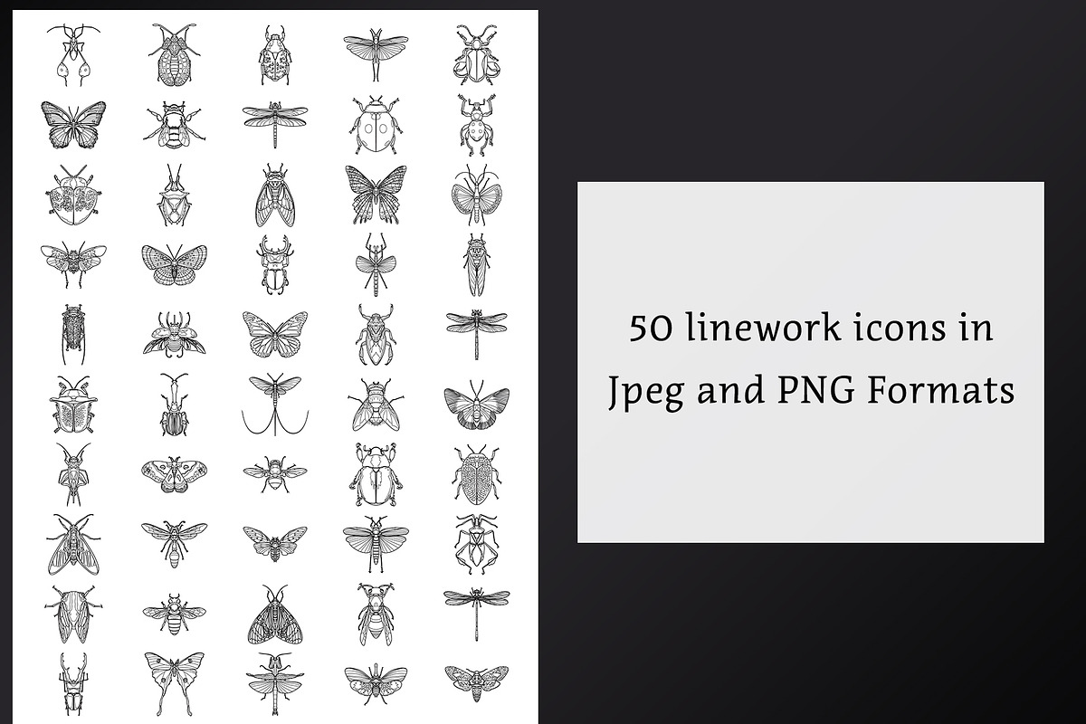 Vector Insect Icons, an Outline Icon by The Curio Cabinet (Photo 2 of 3)