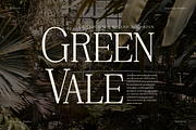 Rinovich | Display Serif Font, a Serif Font by gracetype_studio (Thumbnail 5 of 12)