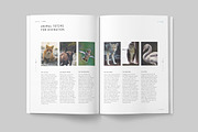 LUMINA Magazine, a Magazine Template by 46&2 Collective (Thumbnail 16 of 27)