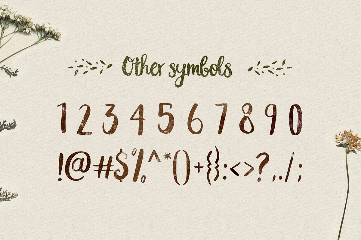 Peomy Extended Font & Illustrations, a Script Font by Wild Ones (Photo 9 of 13)