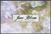 June Bloom Floral Backgrounds, a Background Graphic by lerinartstudio (Thumbnail 1 of 11)