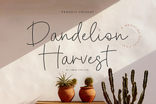 Dandelion Harvest Font