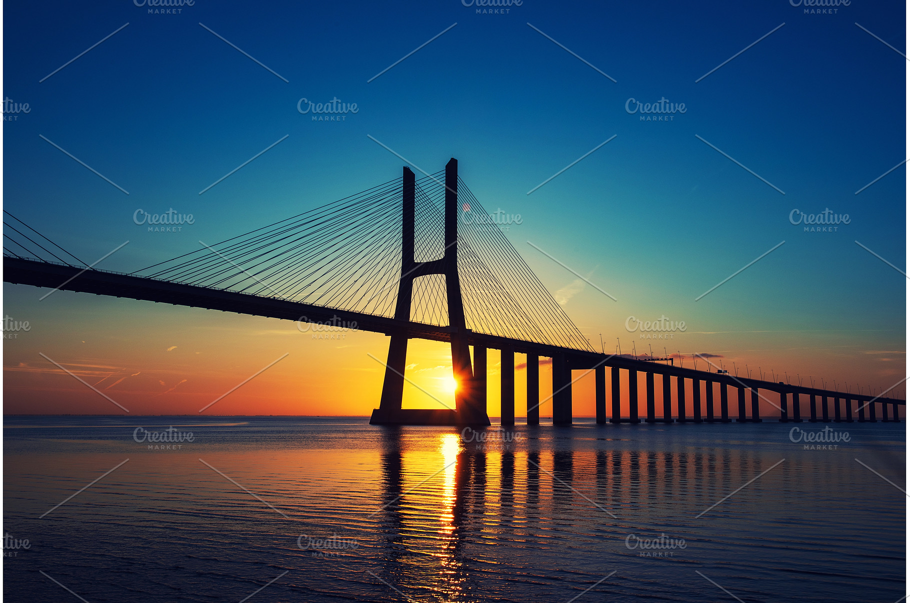 Vasco da Gamma road bridge in, an Architecture Photo by Nature and travel