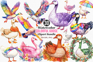 Watercolor Colorful Goose Clipart, an Illustration by Canvas Craft
