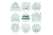20+ icons of home plants in pots, a Solid Icon by ОльгаМороз (Thumbnail 14 of 14)