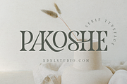 Pakoshe – Serif Font, a Serif Font by NDNL Studio (Thumbnail 2 of 9)