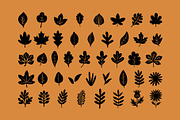 Autumn Nature & Botanical Clipart, a Decorative Illustration by NatalieArtShop (Thumbnail 3 of 16)