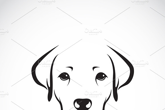 Vector Of A Dog Labrador. Pets