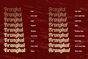 Brangkal, a Serif Font by Differentialtype (Thumbnail 8 of 11)