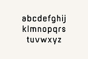 Homegrown Elegant Sans Serif Font, a Sans Serif Font by UICreative (Thumbnail 4 of 13)