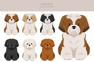 Shih Poo Shih Tzu Poodle Mix