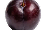 All Fruits Bundle Master Collection, a Food & Drink Photo by FlyeredTemplate (Thumbnail 108 of 130)