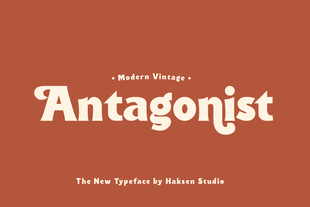 Antagonist Casual Bold Serif, a Serif Font by Haksen (Photo 1 of 15)