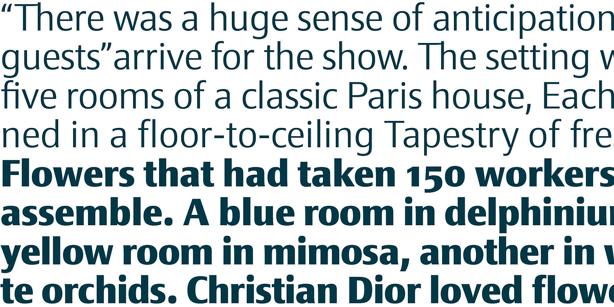 Epoca Classic, a Sans Serif Font by Hoftype (Photo 6 of 6)