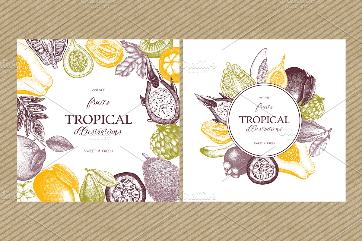 Vintage Tropical Fruit Sketches, a Food Illustration by Yevheniia (Photo 3 of 8)