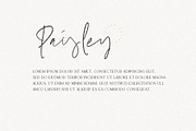 MARION & The Essentials - Logo Font, a Serif Font by Emtheen Std. (Thumbnail 4 of 9)