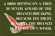 Adeline Mahila Groovy Serif Font, a Serif Font by timelesstype.co (Thumbnail 10 of 20)