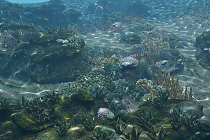 Underwater Coral Reef Habitat Ocean